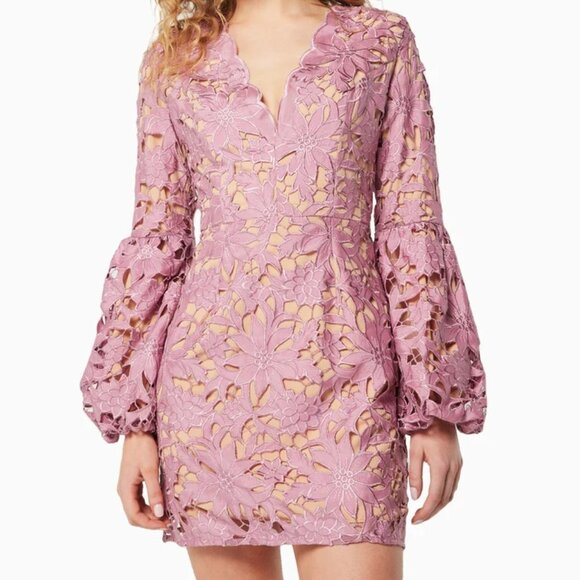 Elliatt Calendar Long Sleeve Lace Mini Dress Size Small NWT - Picture 6 of 6